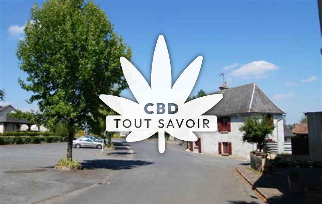 Village à Conceze avec feuille Cannabis CBD