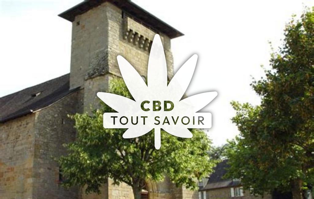 Village à Dampniat avec feuille Cannabis CBD