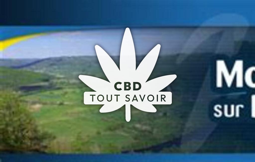 Village à Monceaux-sur-Dordogne avec feuille Cannabis CBD