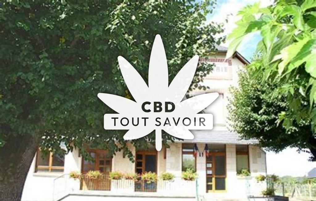 Village à Saint-Hilaire-Taurieux avec feuille Cannabis CBD