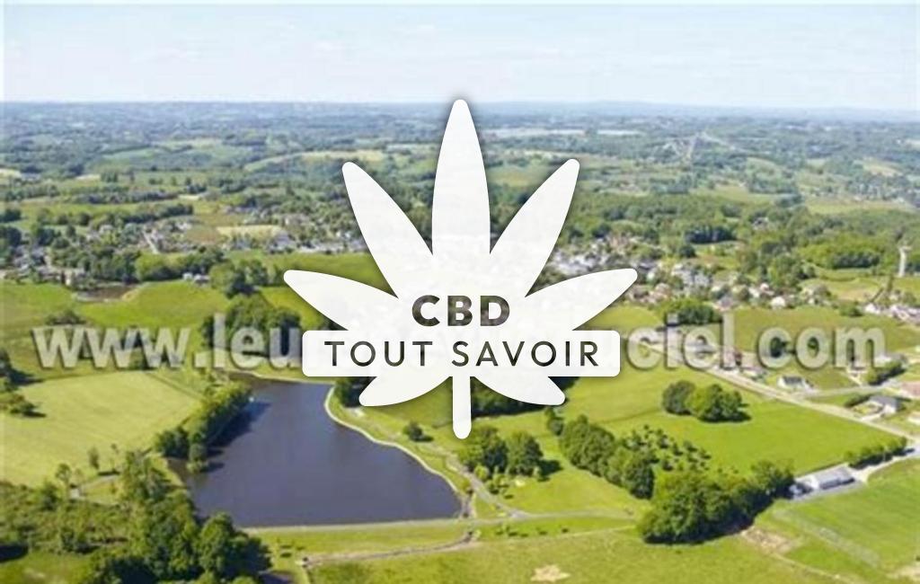Village à Perpezac-le-Noir avec feuille Cannabis CBD