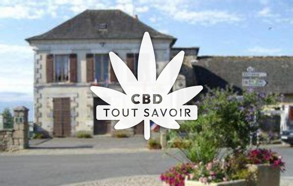 Village à Saint-Bonnet-l'Enfantier avec feuille Cannabis CBD