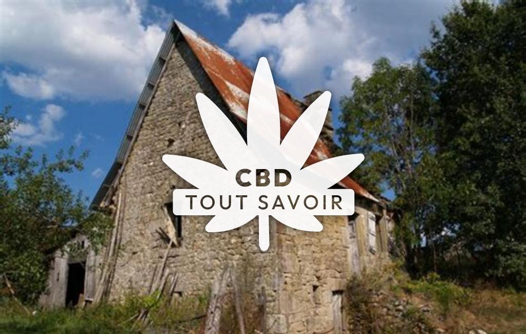 Village à Saint-Julien-le-Pelerin avec feuille Cannabis CBD
