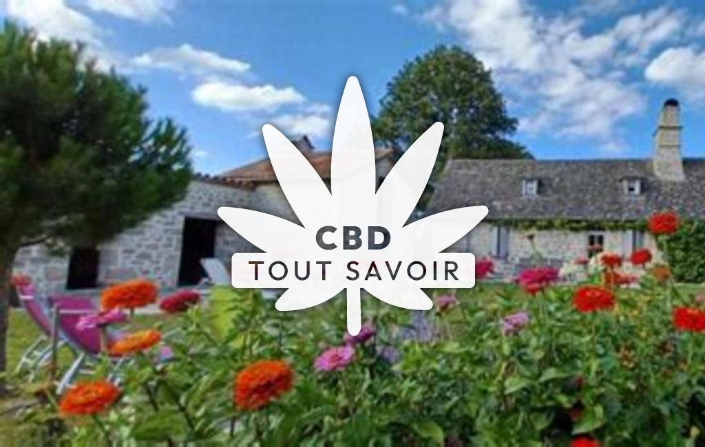 Village à Sexcles avec feuille Cannabis CBD
