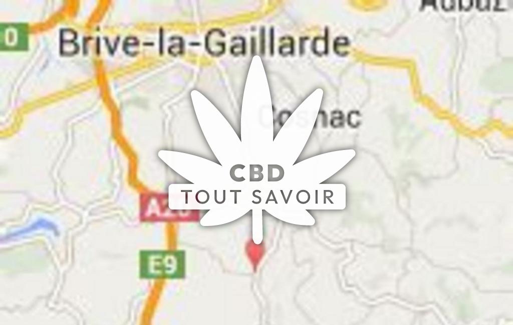 Village à Jugeals-Nazareth avec feuille Cannabis CBD