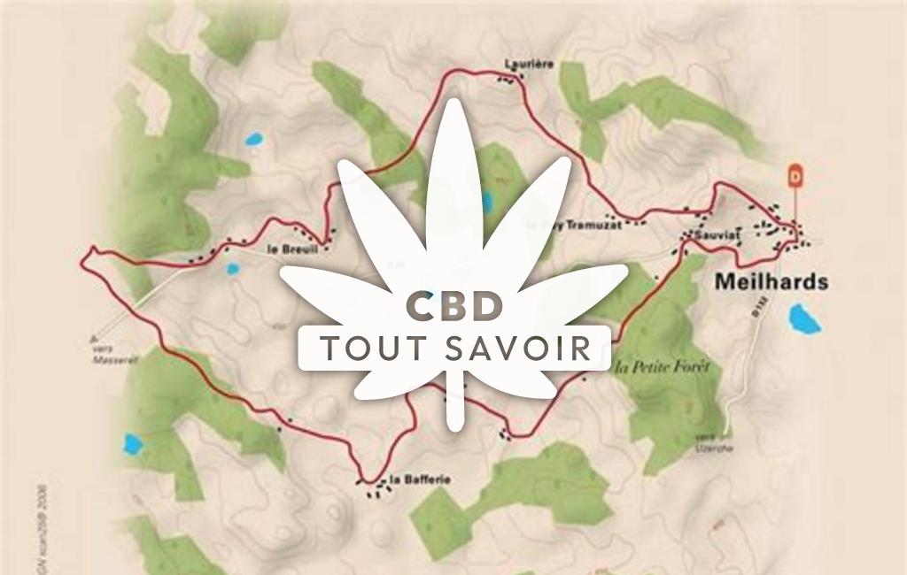 Village à Lamongerie avec feuille Cannabis CBD