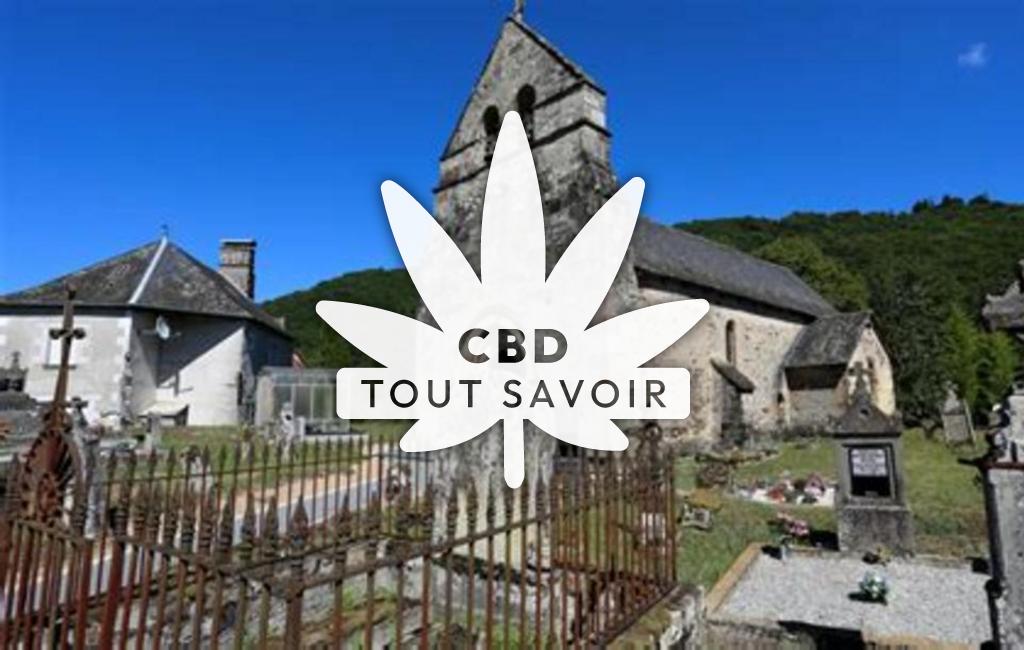 Village à Laval-sur-Luzege avec feuille Cannabis CBD