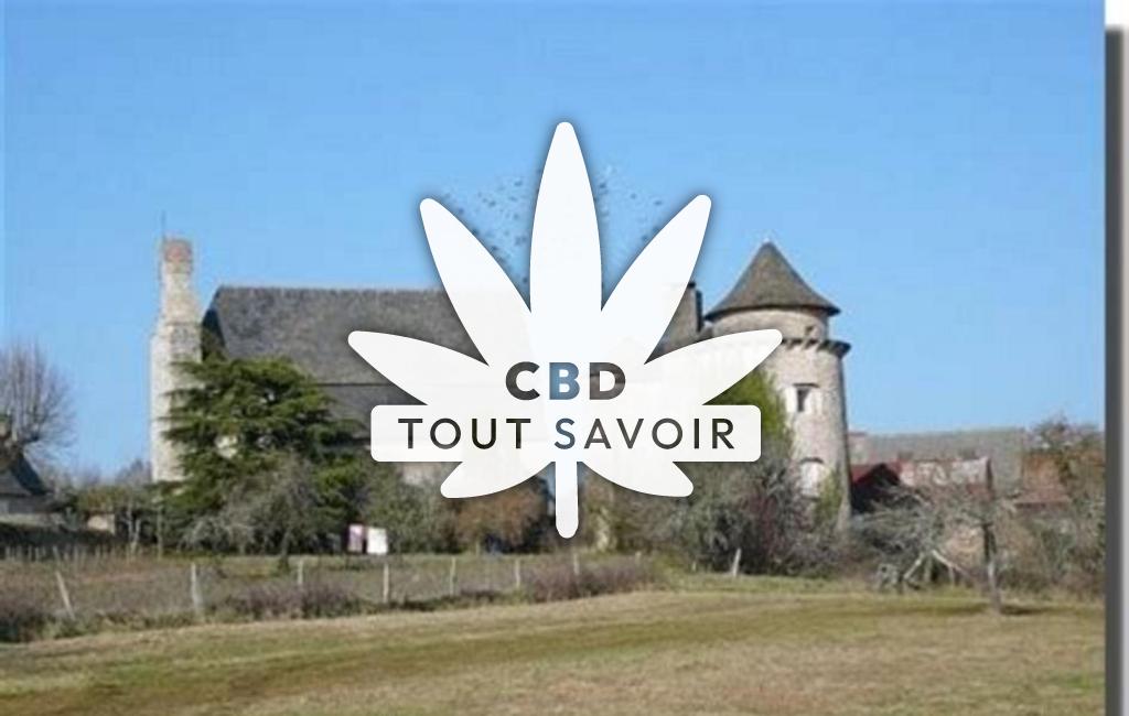 Village à Chartrier-Ferriere avec feuille Cannabis CBD