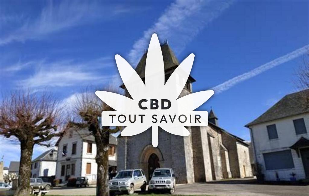 Village à Saint-Salvadour avec feuille Cannabis CBD