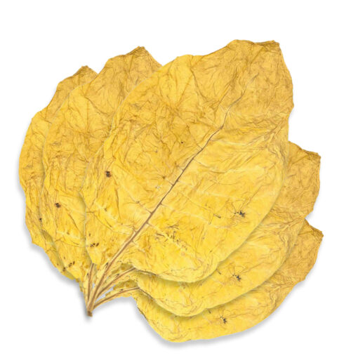 Deutscher - Feuille de Tabac