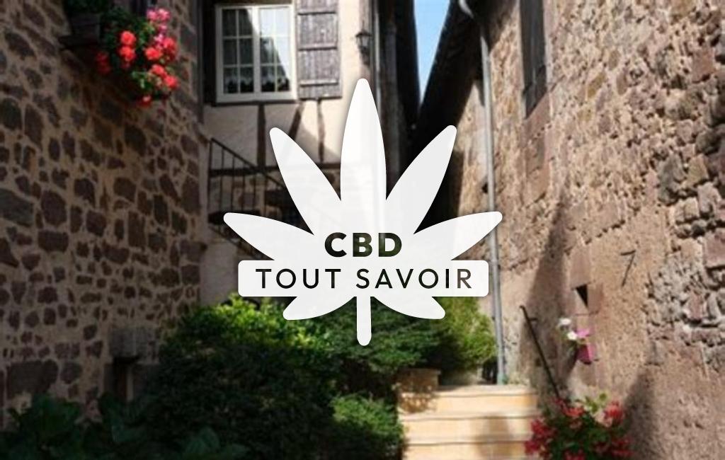 Village à Saint-Bonnet-la-Riviere avec feuille Cannabis CBD