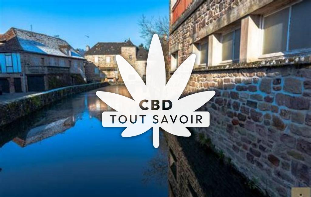 Village à Le-Pescher avec feuille Cannabis CBD