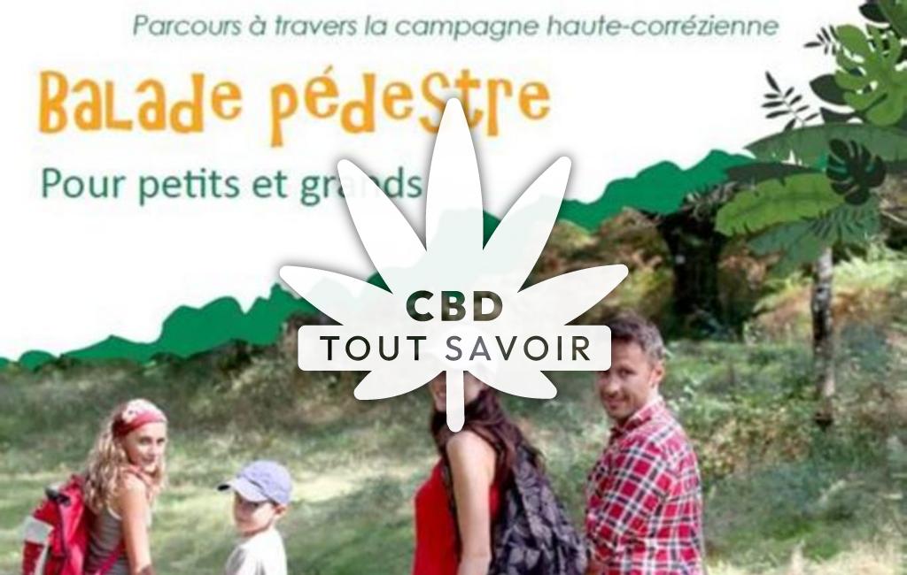 Village à Saint-Bonnet-Pres-Bort avec feuille Cannabis CBD