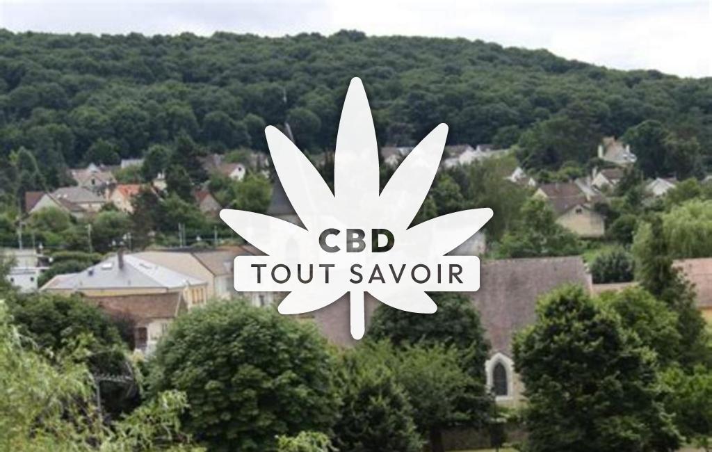 Village à Saint-Remy avec feuille Cannabis CBD
