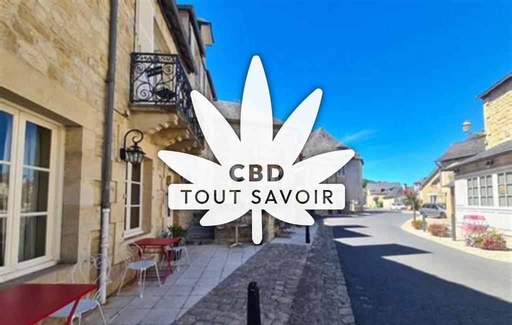 Village à Perpezac-le-Blanc avec feuille Cannabis CBD