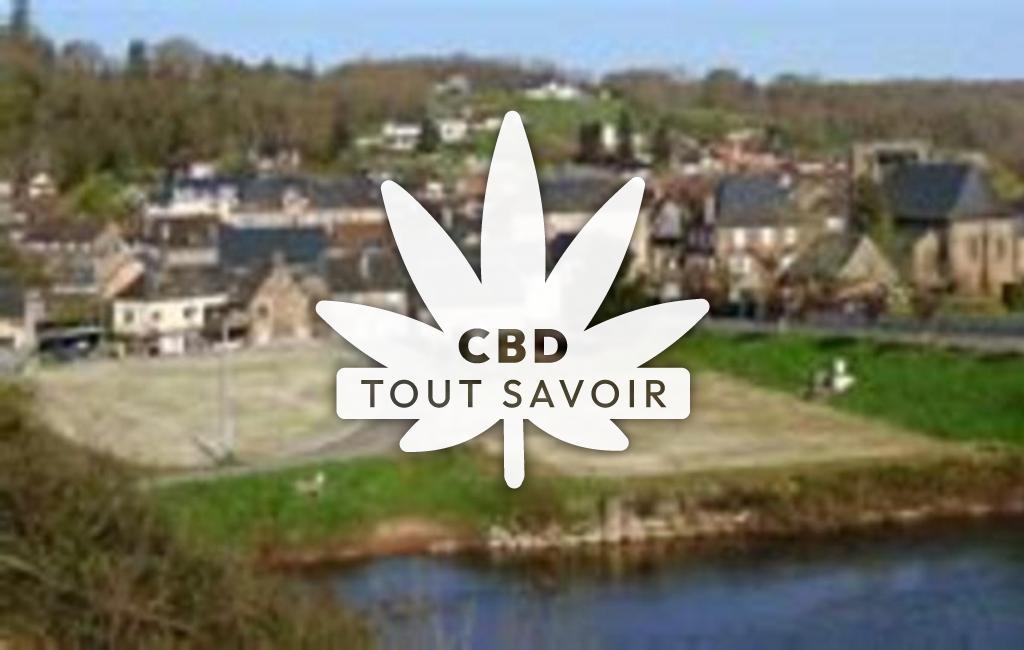 Village à Saint-Pantaleon-de-Larche avec feuille Cannabis CBD