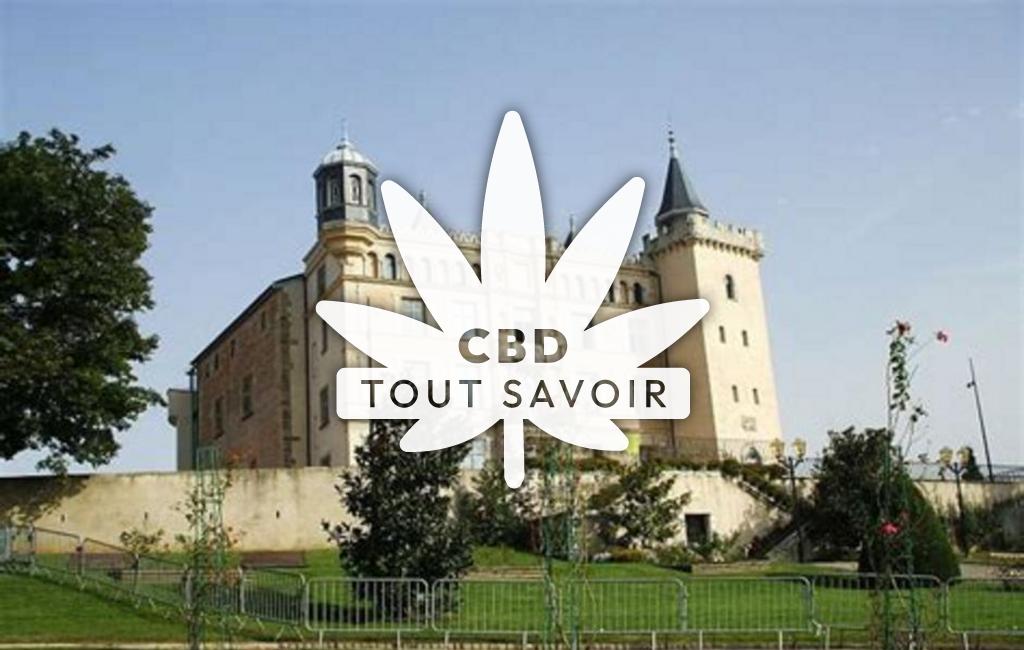 Village à Saint-Priest-de-Gimel avec feuille Cannabis CBD