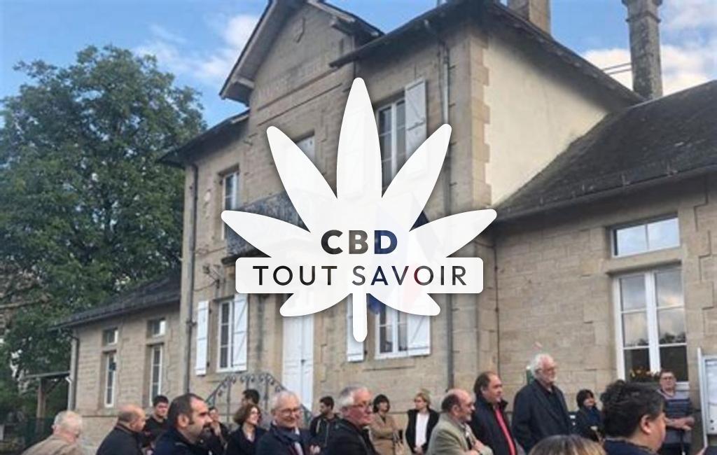 Village à Vitrac-sur-Montane avec feuille Cannabis CBD