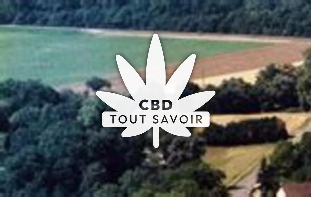 Village à Fauverney avec feuille Cannabis CBD