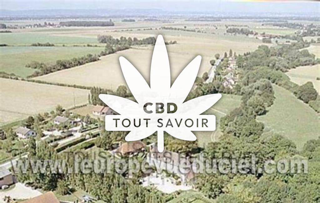 Village à Tart-le-Bas avec feuille Cannabis CBD