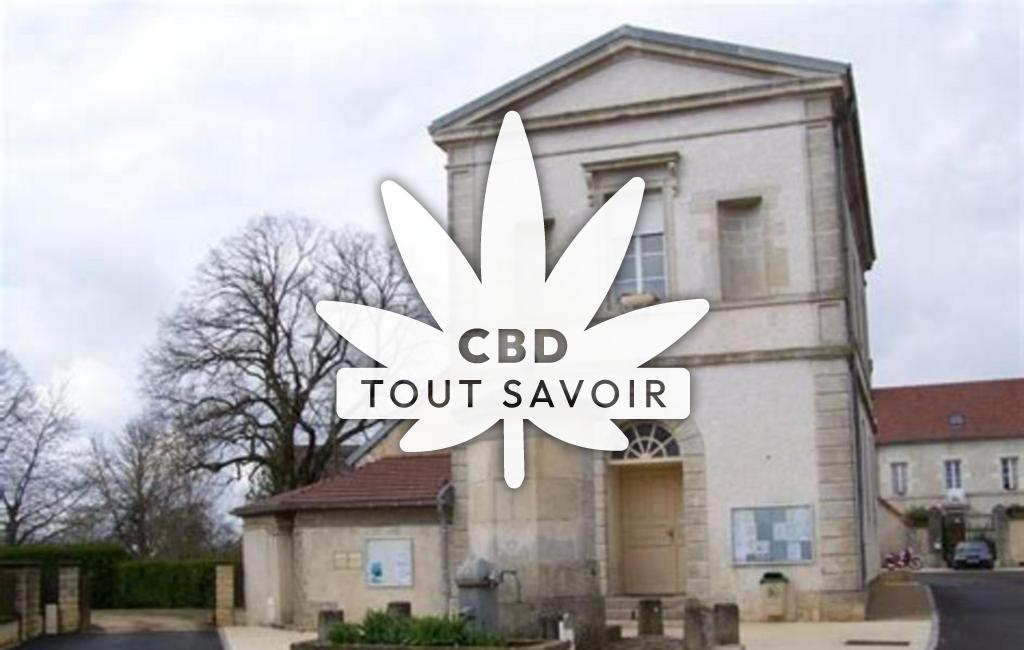 Village à Poiseul-les-Saulx avec feuille Cannabis CBD