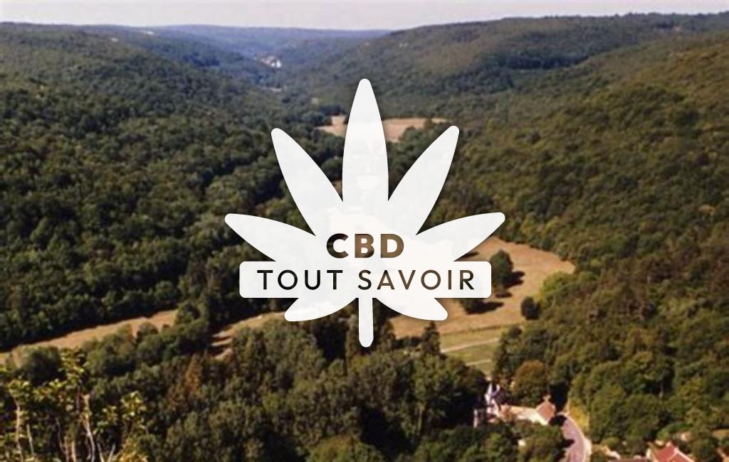 Village à Val-Suzon avec feuille Cannabis CBD