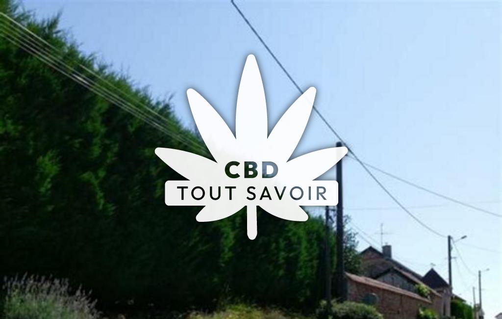 Village à Billey avec feuille Cannabis CBD