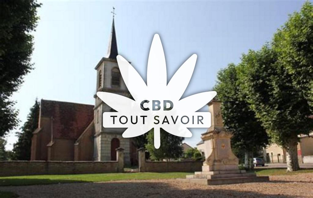 Village à Villers-les-Pots avec feuille Cannabis CBD