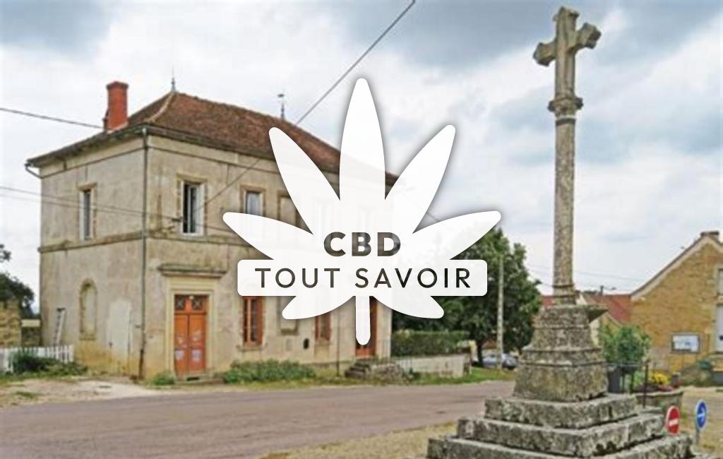Village à Magny-la-Ville avec feuille Cannabis CBD