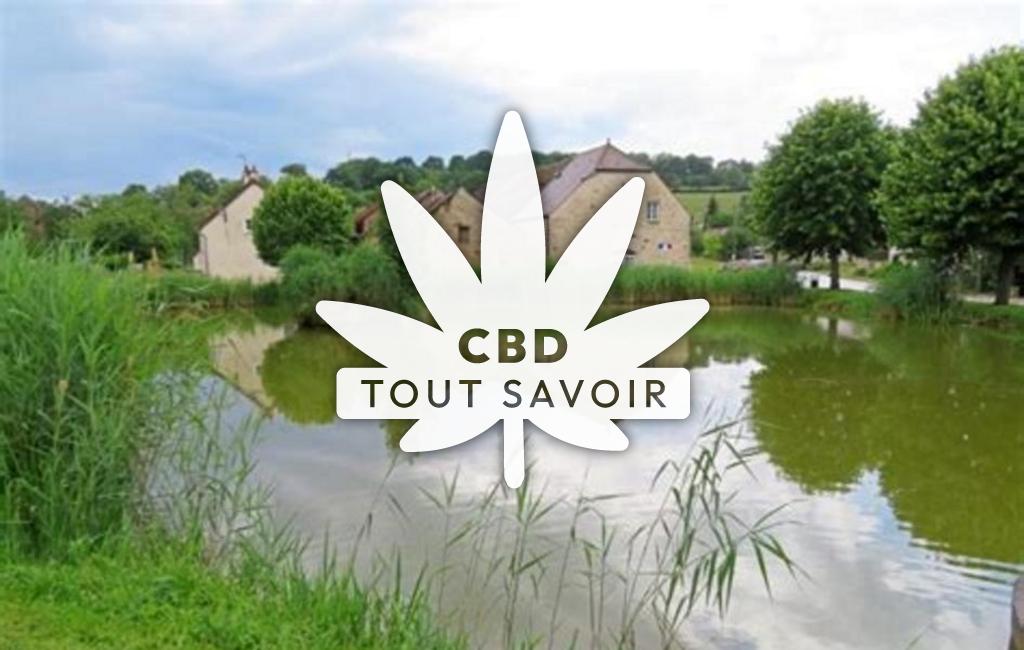 Village à Massingy-les-Semur avec feuille Cannabis CBD