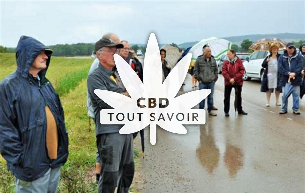 Village à Vic-de-Chassenay avec feuille Cannabis CBD