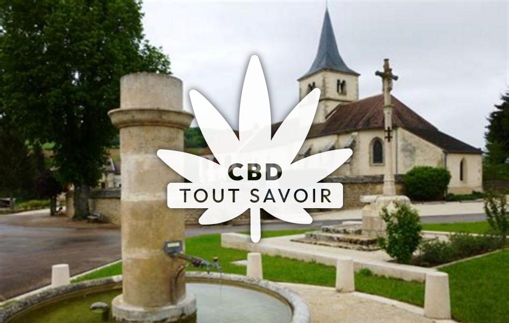 Village à Gissey-sous-Flavigny avec feuille Cannabis CBD