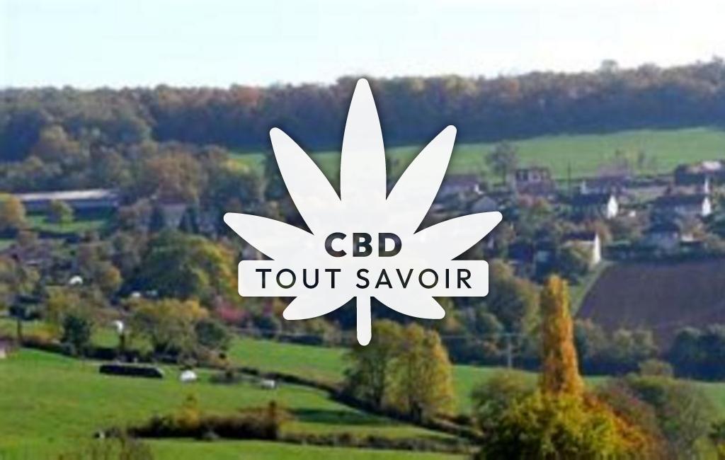 Village à Menetreux-le-Pitois avec feuille Cannabis CBD