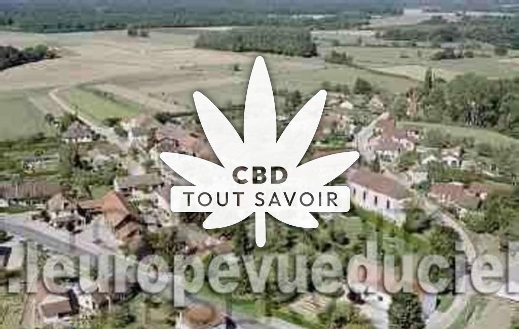 Village à Aubigny-en-Plaine avec feuille Cannabis CBD