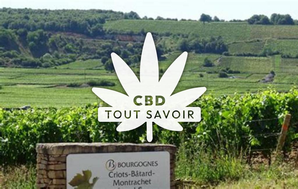 Village à Chassagne-Montrachet avec feuille Cannabis CBD