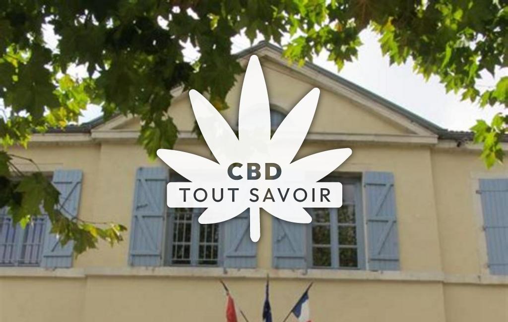 Village à Mavilly-Mandelot avec feuille Cannabis CBD