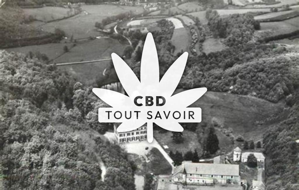 Village à La-Motte-Ternant avec feuille Cannabis CBD