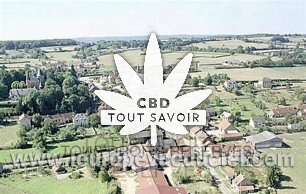 Village à Thoisy-la-Berchere avec feuille Cannabis CBD