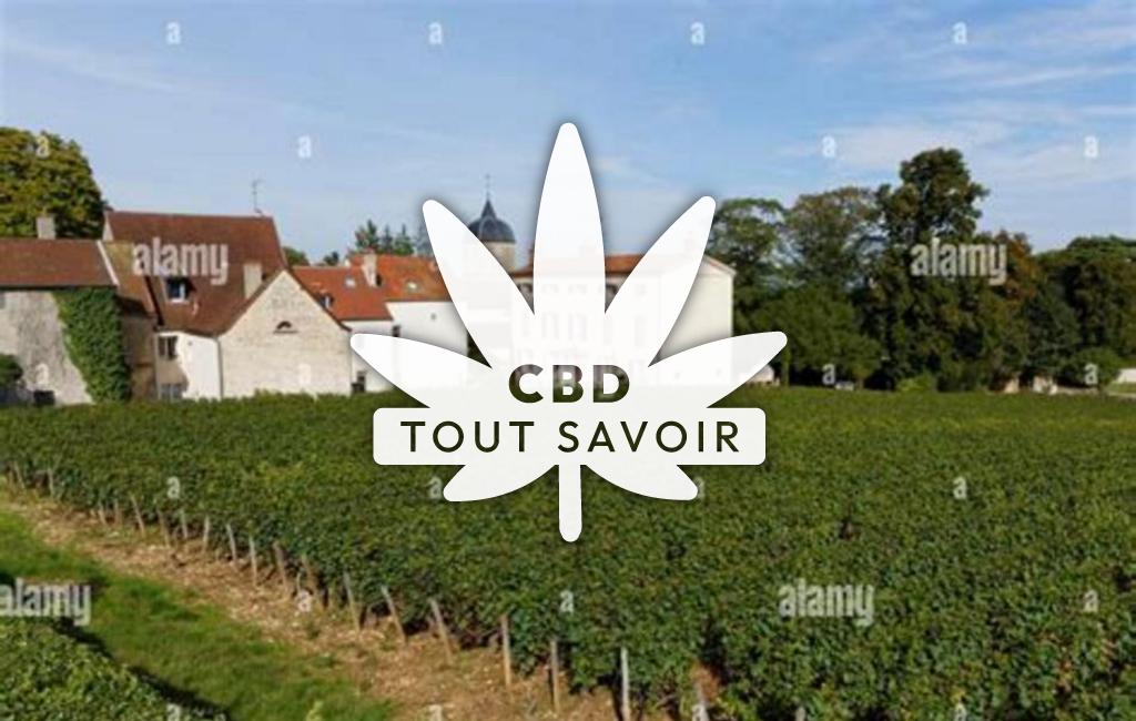 Village à Chambolle-Musigny avec feuille Cannabis CBD