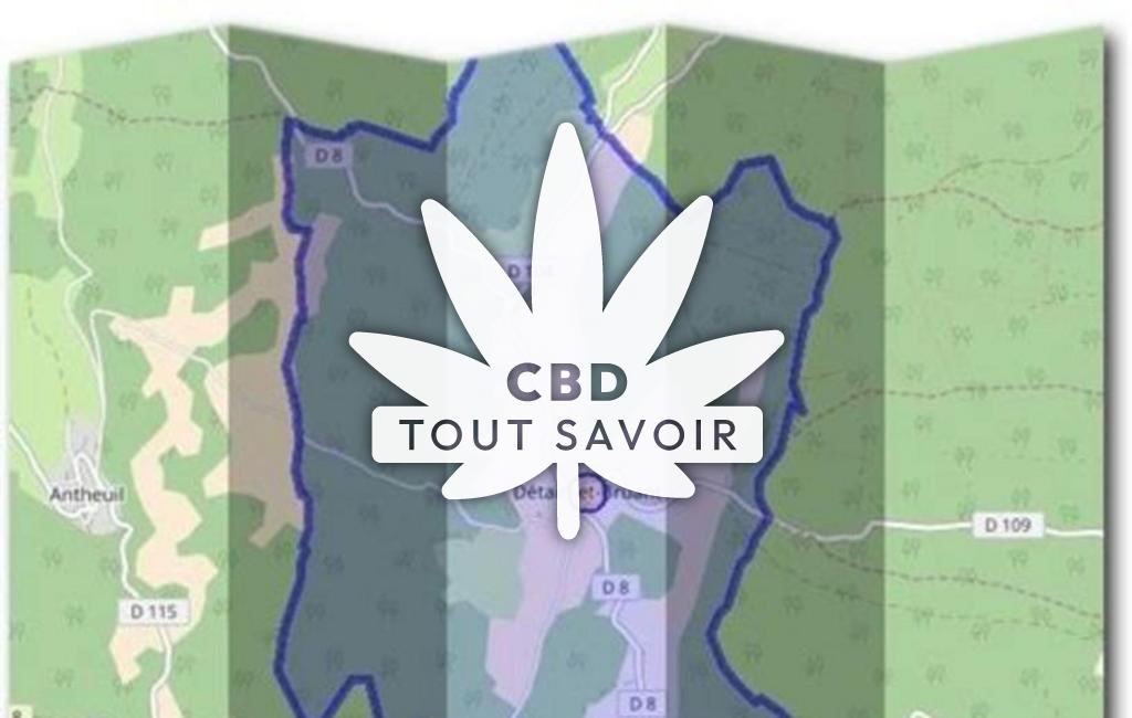 Village à Detain-Et-Bruant avec feuille Cannabis CBD