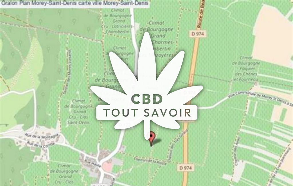 Village à Morey-Saint-Denis avec feuille Cannabis CBD