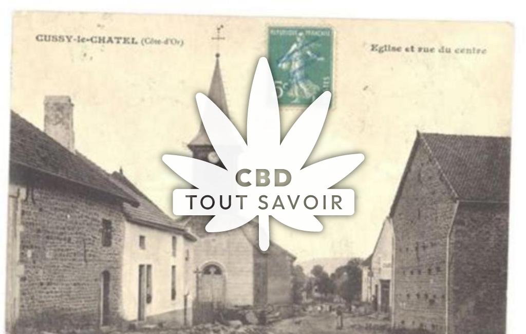Village à Cussy-le-Chatel avec feuille Cannabis CBD