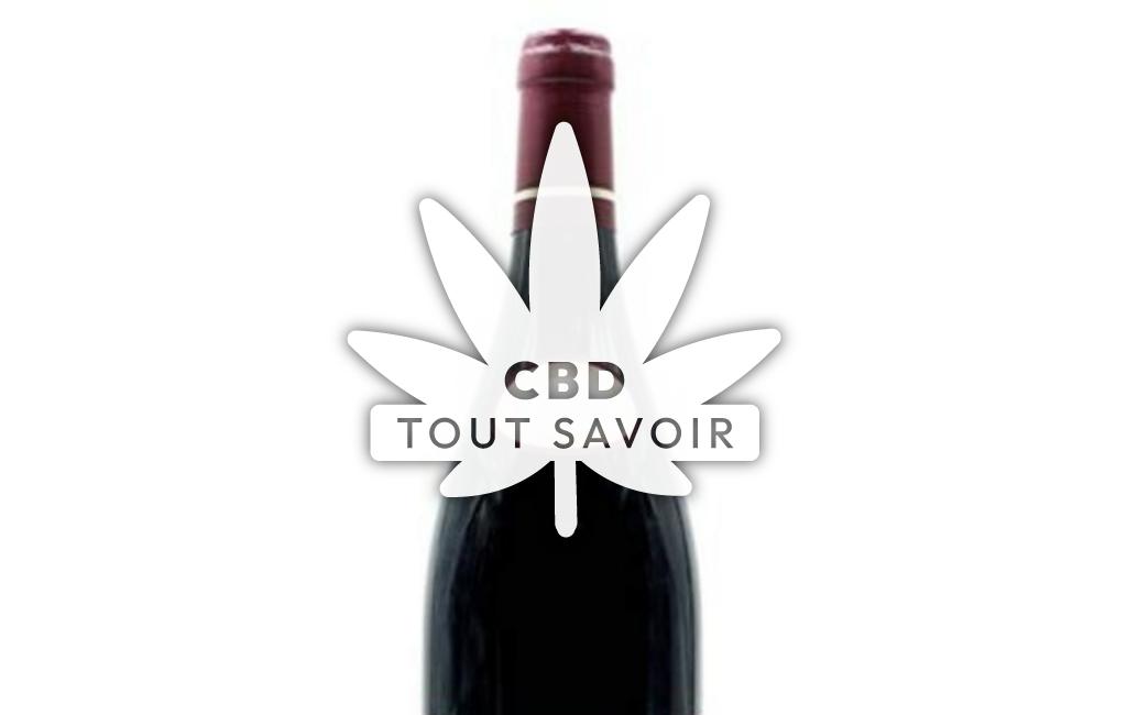 Village à Magnien avec feuille Cannabis CBD