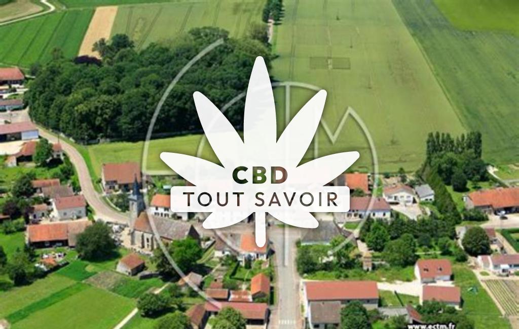 Village à Tichey avec feuille Cannabis CBD