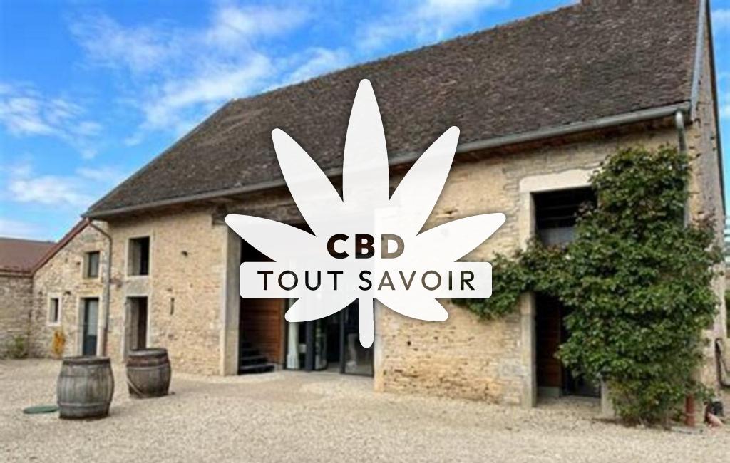 Village à Villy-le-Moutier avec feuille Cannabis CBD