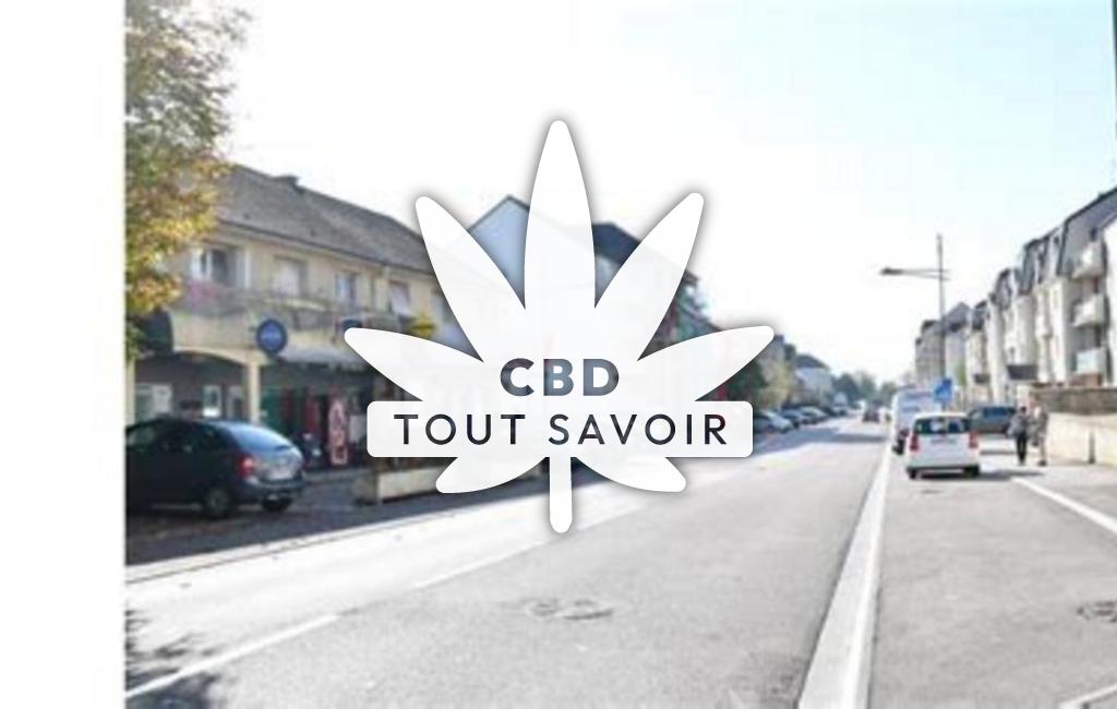Village à Saint-Sauveur avec feuille Cannabis CBD