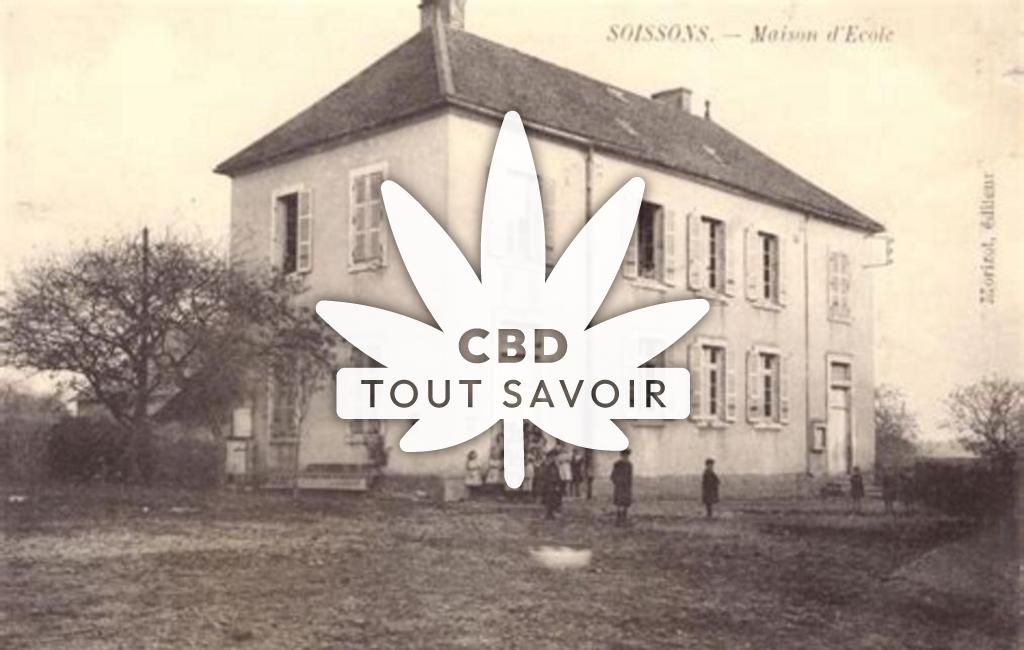 Village à Soissons-sur-Nacey avec feuille Cannabis CBD