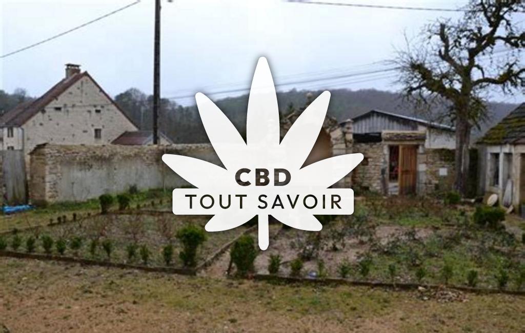 Village à Gurgy-la-Ville avec feuille Cannabis CBD