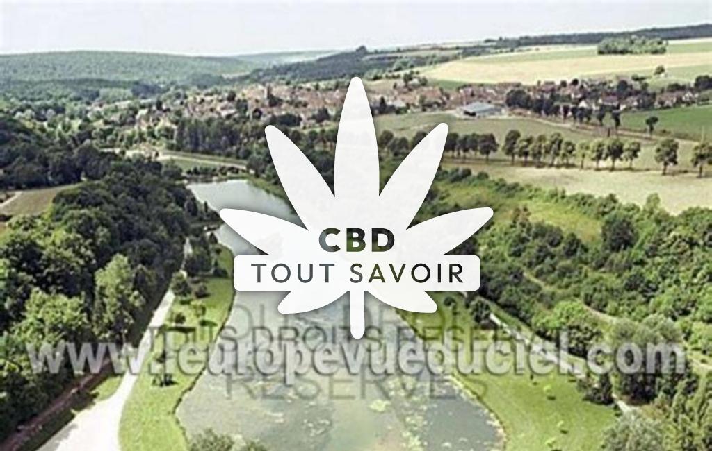 Village à Recey-sur-Ource avec feuille Cannabis CBD