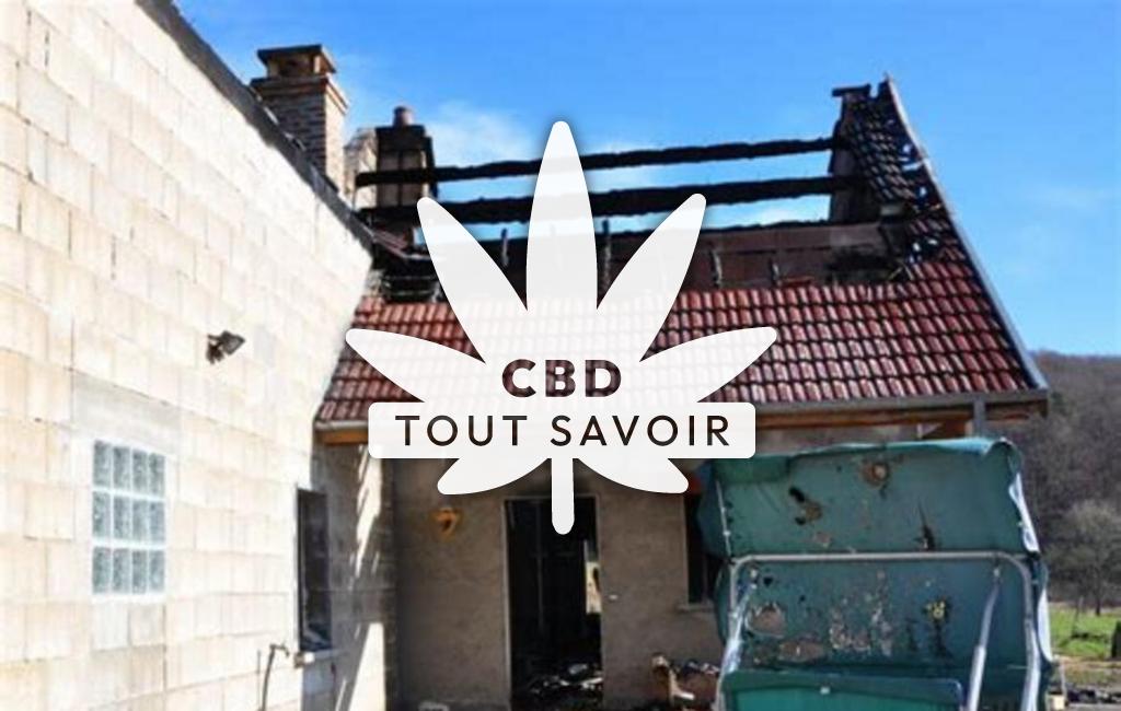 Village à Terrefondree avec feuille Cannabis CBD